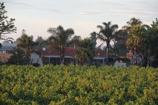 View of the house from the top of the tractor