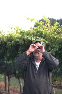 Checking Brix Levels before picking